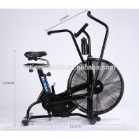 Rizhao Tiger Sports Factory Price Crossfit Assault Air Bike